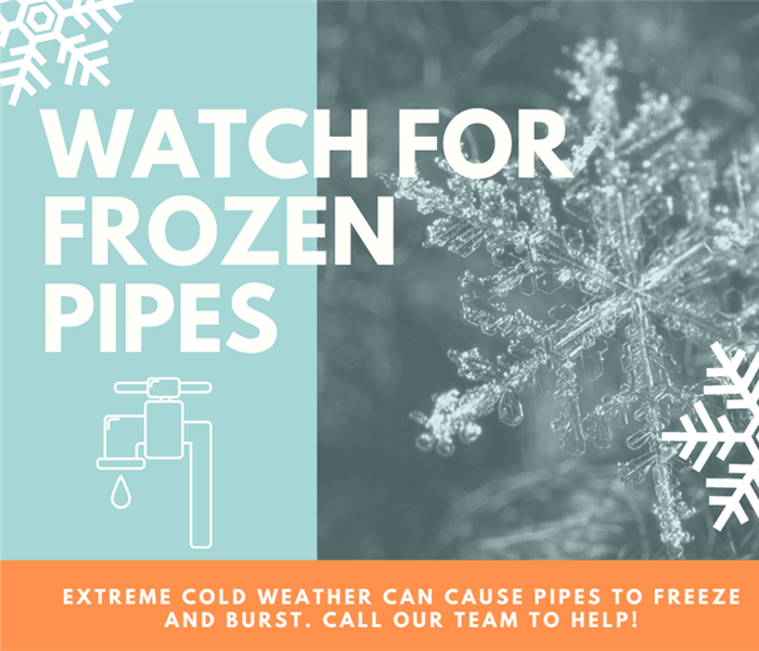 frozen pipes graphic